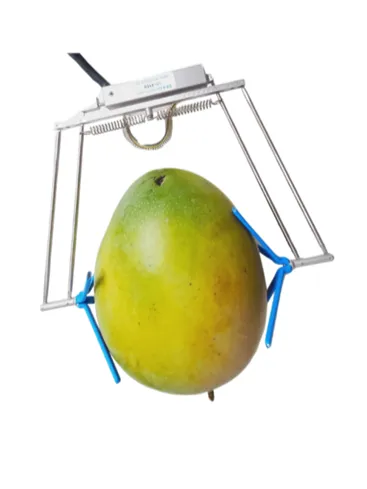 Sensor de Crecimiento de Fruta